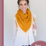 honey bird crocheted triangle scarf || editor