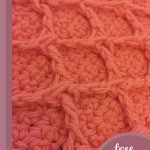 lattice stitch crochet dishcloth || editor