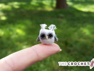 Micro-Crocheting Tips And Tricks || thecrochetspace.com