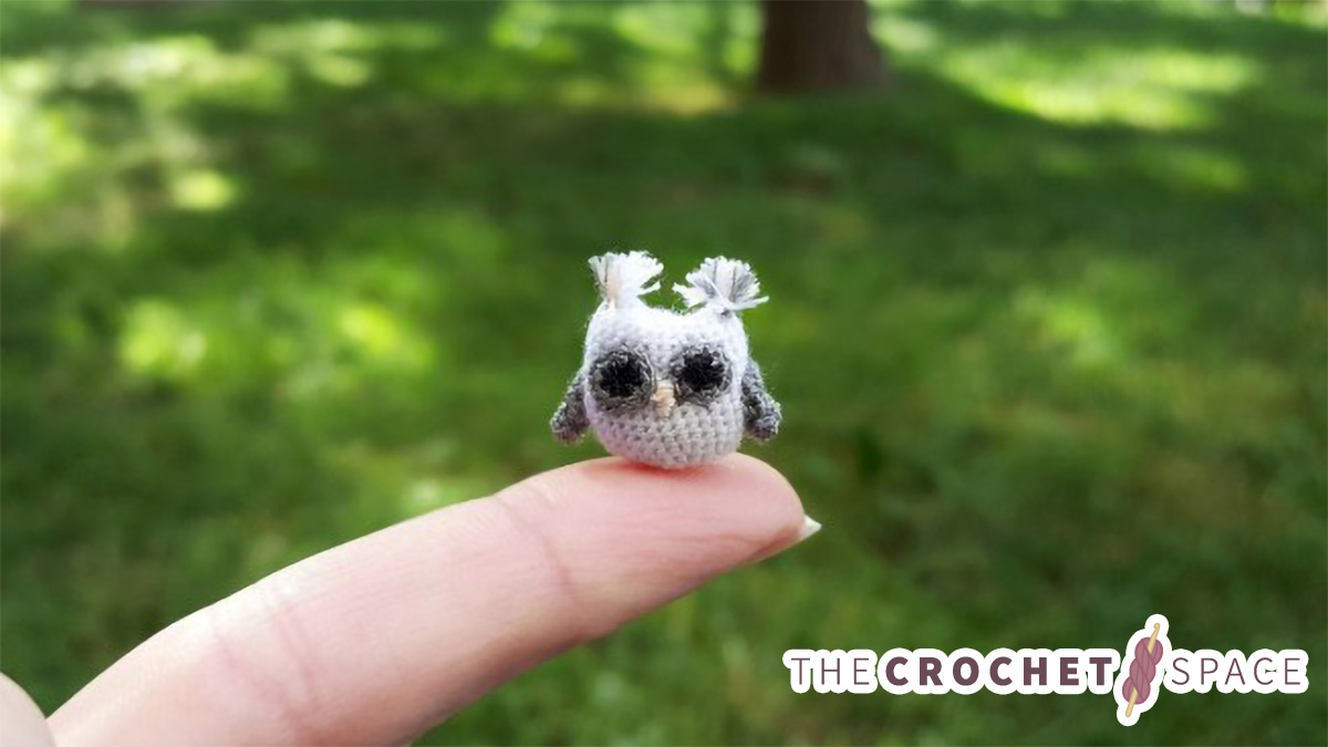 Micro-Crocheting Tips And Tricks || thecrochetspace.com