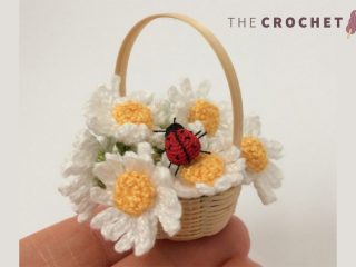 Mini Crochet Daisy Display || thecrochetspace.com