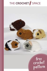 Newborn Crocheted Guinea Pig Family || thecrochetspace.com