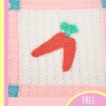 Perfect Luv Bunny Blanket. Close up of one square of the blanket filled ith 2 carrots || thecrochetspace.com