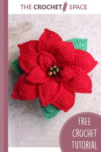 perfect poinsettia crochet flower || editor