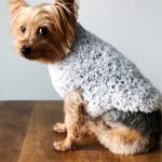 Plush Pooch Crochet Coat. Yorkie dog looking into shot, wearing a grey, fluffy winter jacket || thecrochetspace.com