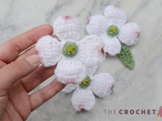 Pretty Dogwood Crochet Flowers || thecrochetspace.com