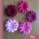 Pretty Loopy Crocheted Flowers. Five flowers in a circle in shades of pink || thecrochetspace.com