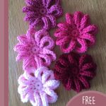 Pretty Loopy Crocheted Flowers. 5x flowers in different shades of pink laid out in a row of x3 and a row of x2 || thecrochetspace.com