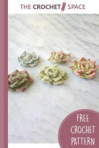 realistic pretty crochet succulents || editor