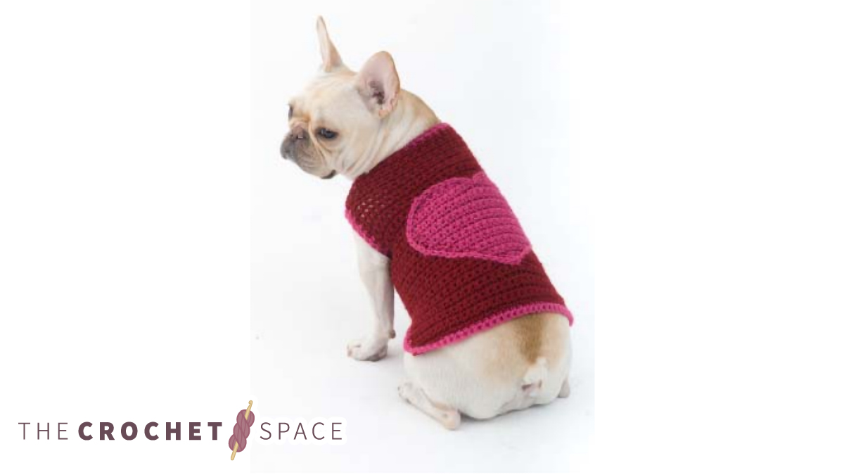 romantic crocheted dog sweater || editor