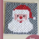 Santa Crocheted Pixel Square || thecrochetspace.com