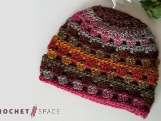 Seamless Crochet Fall Beanie || thecrochetspace.com