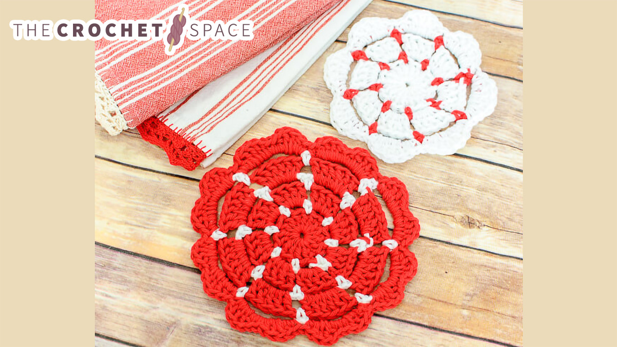 Simple Crocheted Pot Holders || thecrochetspace.com