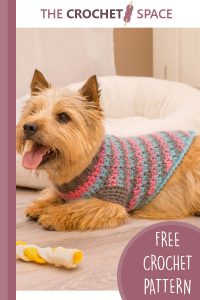 sporty style crochet dog sweater || editor