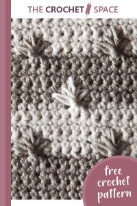 star bright crochet dishcloth || editor