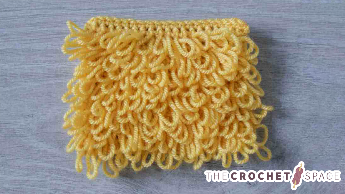 Start Learning Crochet Loop Stitch