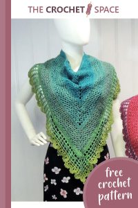 stylish juliette crocheted shawl || editor