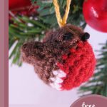 Tiny Crochet Christmas Robin || thecrochetspace.com