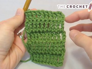 Treble Crochet Loop Stitches