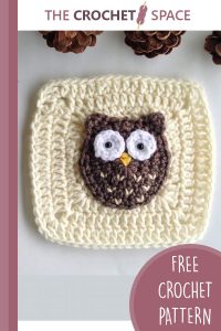woodland owl crocheted granny square || editor